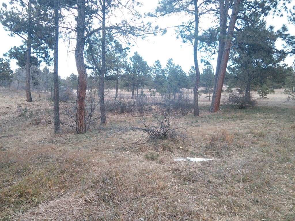 Cleaned Up Monument, Colorado Area Lot