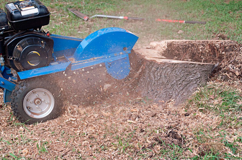 Stump-Grinding-Colorado-Springs-Tree-Service